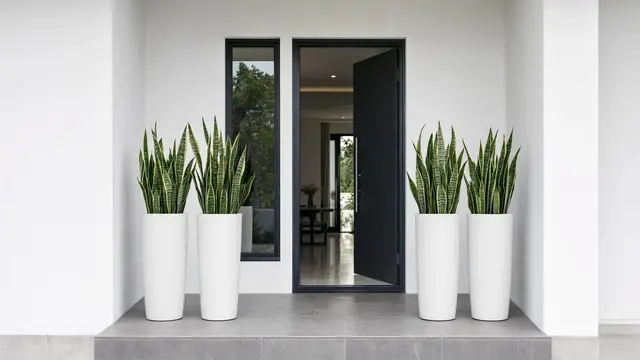 Teras Monokrom dengan Pot Silinder Tinggi