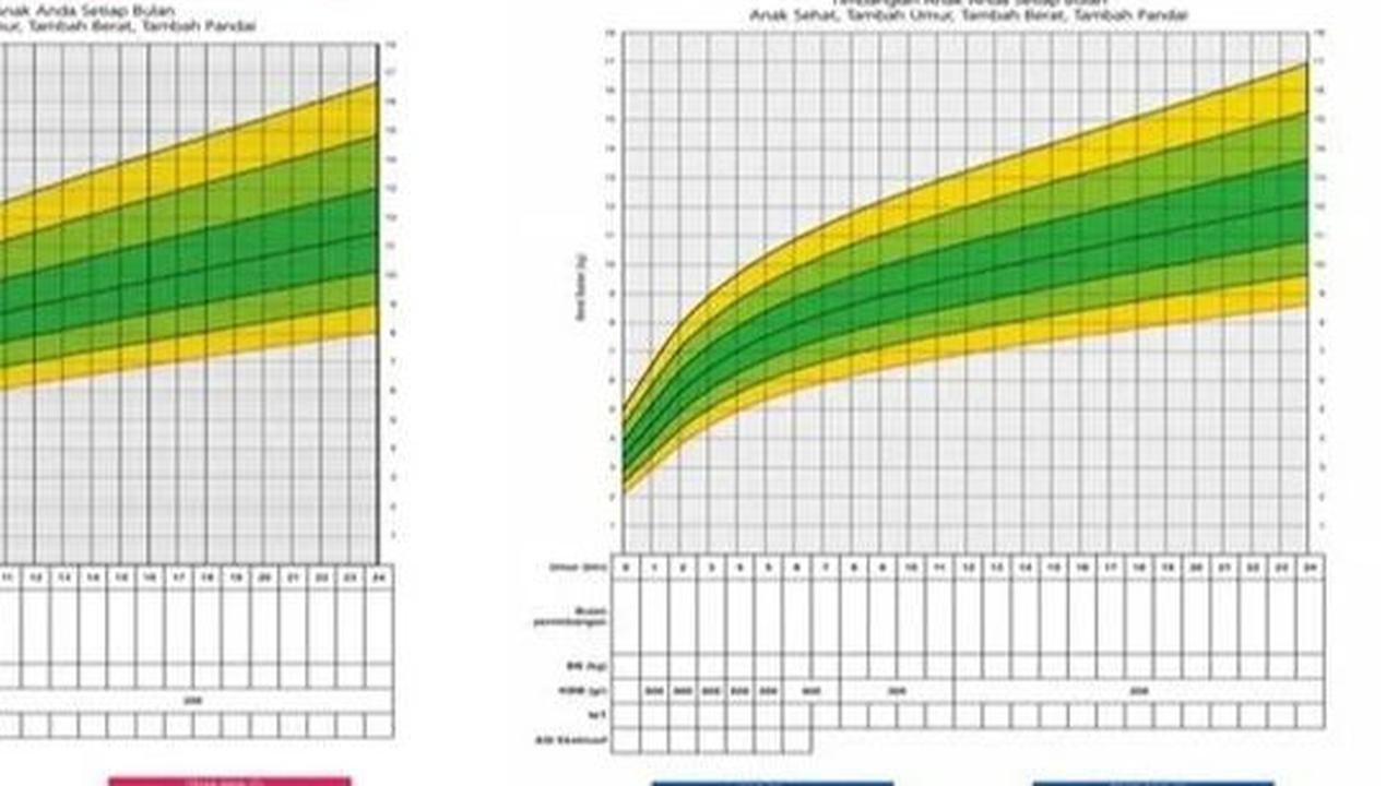 Grafik Pertumbuhan Bayi