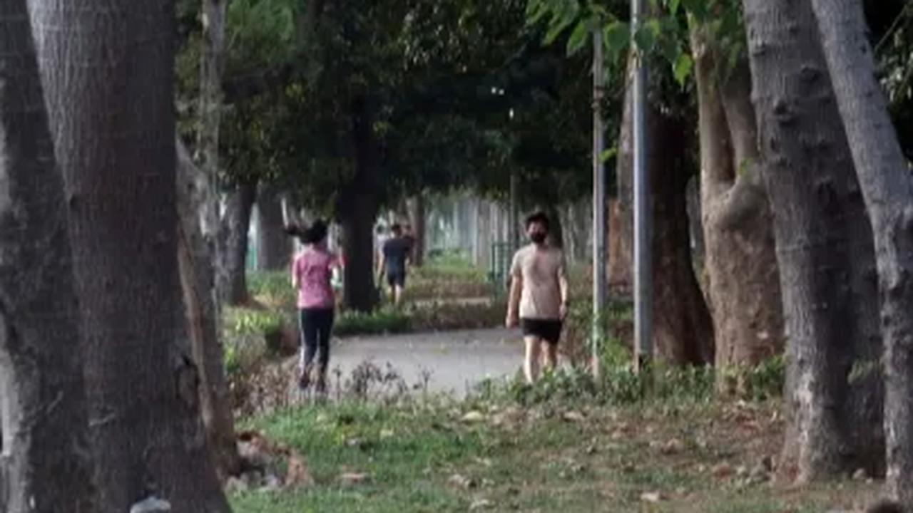 Anwar menyebut bahwa pagar di Hutan Kota UKI Cawang akan diperbaiki. Dia meminta jajarannya untuk menegaskan apakah hutan kota tersebut diperuntukkan sebagai tempat olahraga atau miniatur yang hanya dapat dilihat.
