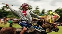 Pasola Membuat Desa Terpencil di NTT Dikenal di Seluruh Dunia