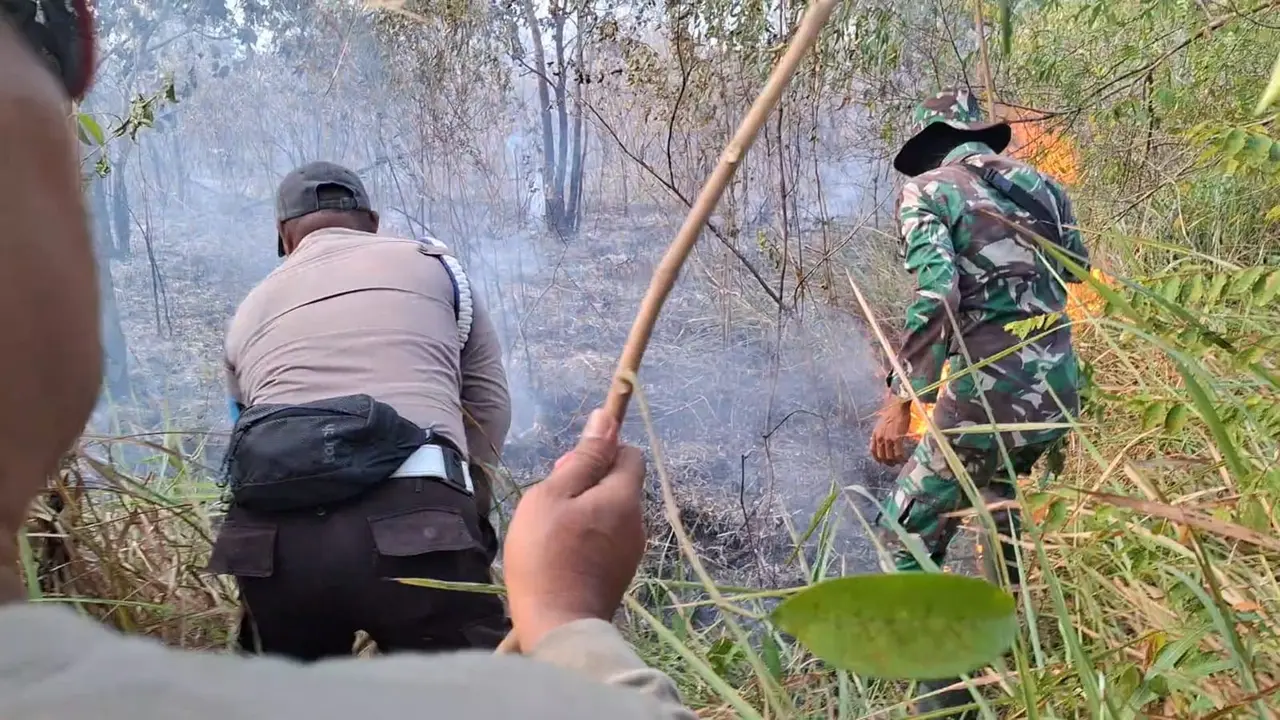 Petugas gabungan masih berjibaku memadamkan api yang melahap sekira 673,4 hektare lahan di Taman Nasional Way Kambas, Lampung Timur, Lampung. (Liputan6.com/Istimewa).