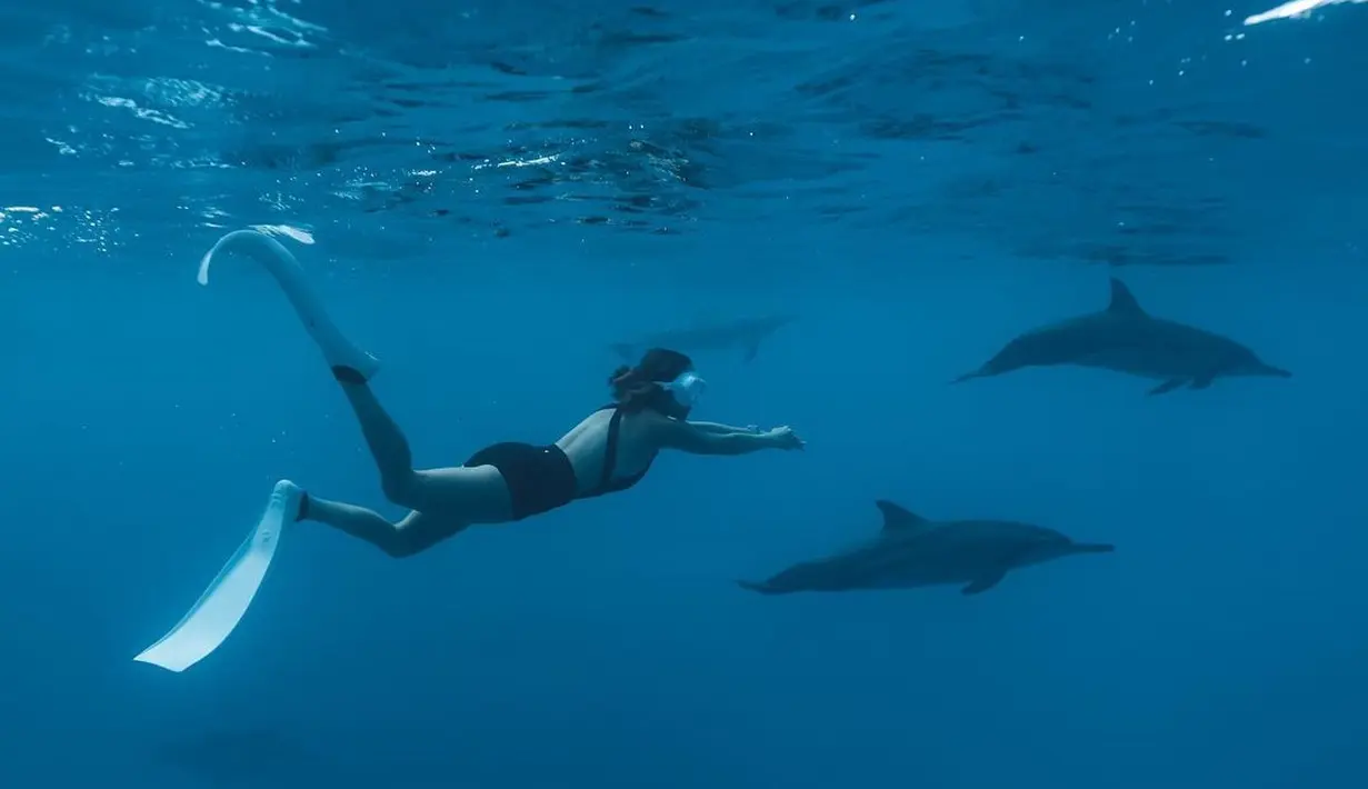 Ikut diving, Gisel tampil dengan two piece bikini warna hitam. [Foto: IG/gisel_la].