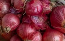 Cara Tradisional Menurunkan Demam Dengan Bawang Merah, Manfaat dan Metode yang Efektif