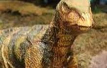 Penemuan Fosil Spesies Baru dari Dinosaurus Ornithopod Mulai Digali di Texas