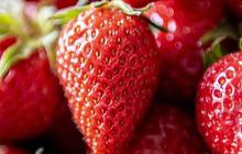 Jenis Buah untuk Meredakan Batuk, Efektif dan Kaya Nutrisi
