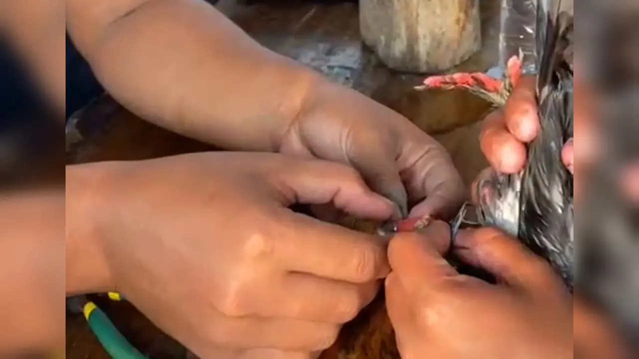 Warga datangi Damkar untuk minta pertolongan