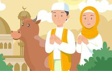 Adab dan Etika Memperlakukan Hewan Kurban yang Penting untuk Diketahui