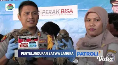 Polres Pelabuhan Tanjung Perak dan BKSDA berhasil gagalkan penyelundupan ratusan satwa terlindungi dan ilegal dari Makassar.