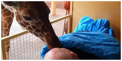 Foto : copyright metro.co.uk