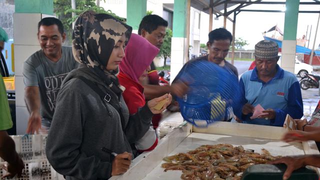 Murahnya Harga Lobster Dan Udang Jerbung Di Cilacap Mau