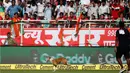 Pertandingan kriket sedang berlangsung ketika anjing liar tiba-tiba berlari masuk lapangan saat India unggul dengan skor 210-2 atas Inggris di Visakhapatnam, Andhra Pradesh, India pada 17 November 2016 silam.  (AP Photo/Aijaz Rahi)