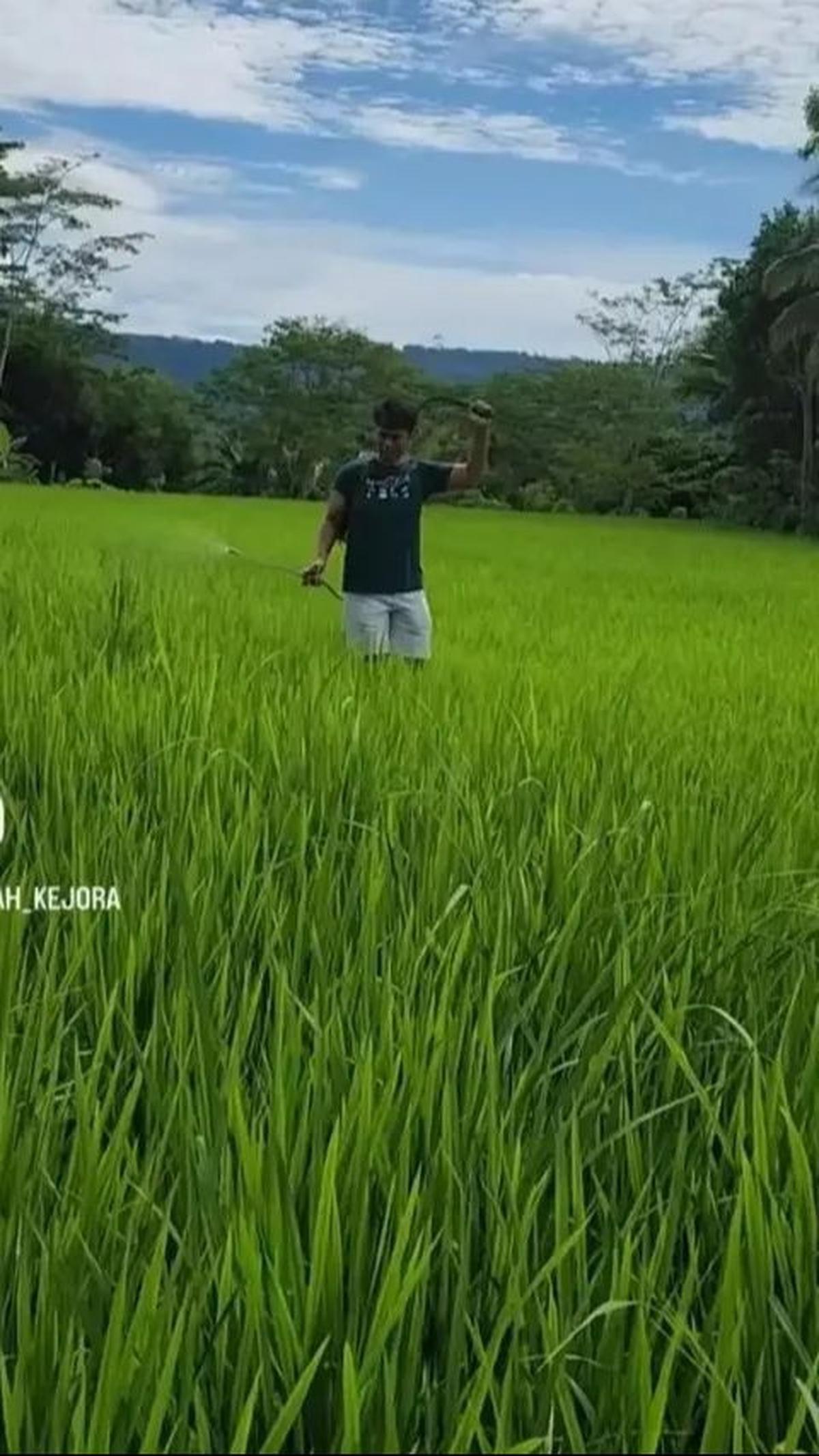 Dialah Endang Mulyana, ayah dari Lesti Kejora, yang meski memiliki anak terkenal dan berpenghasilan besar, tetap memilih untuk hidup mandiri sebagai petani di kampung halamannya.&nbsp;