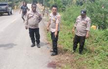 Trivia Penembakan Anggota TNI Keerom: Pertengkaran Berujung Maut di Papua