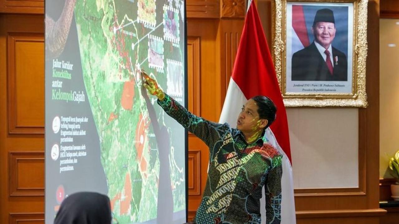Indonesia Fokus Perlindungan Habitat Gajah, Presiden Prabowo Terbitkan Inpres Konservasi