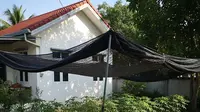 8 Desain Pekarangan Rumah untuk Menanam Singkong yang Mudah dan Efisien, Kekinian di 2025