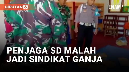 VIDEO: Miris! Penjaga SD Ternyata Anggota Sindikat Ganja