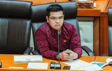 Politisi PDIP Tak Setuju Pembangunan Bandara di Bali Utara, Khawatir Makin Banyak Turis Pembuat Onar