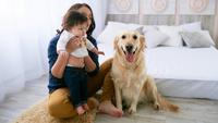 10 Best Dog Breeds for Family With Little Kid