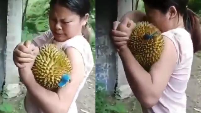 Download 4100 Koleksi Gambar Durian Belah Keren Gratis