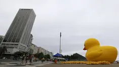 Balon raksasa berbentuk bebek terlihat di pantai Copacabana, Brasil, Minggu (25/10). Kampanye "I will not pay the Duck" ini diselenggarakan oleh Federasi Industri Rio de Janeiro ini mengacu pada industri yang membayar pajak tinggi. (REUTERS/Sergio Moraes)