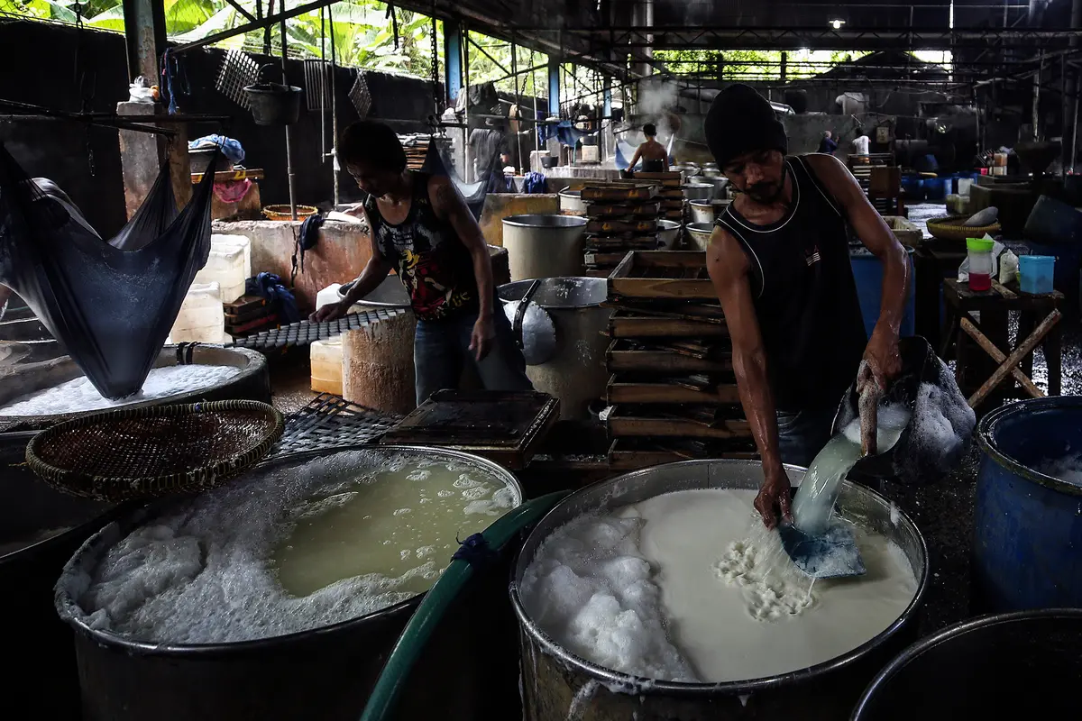 FOTO: Harga Kedelai Dunia Naik