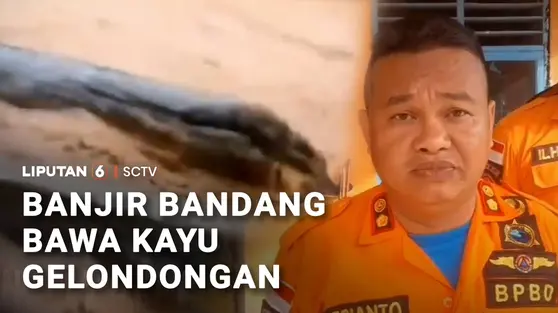 Lagi! Banjir Bandang di Sumut Bawa Kayu Gelondongan