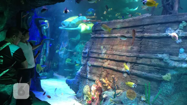 Sea Life Malaysia