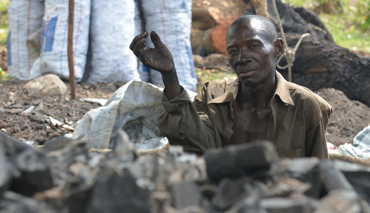Jean Ronsale beristirahat saat mengumpulkan arang di pinggiran dari Les Cayes, Haiti, (23/1). Menteri Lingkungan Hidup Haiti akan membuat peraturan jaringan "hutan energi" yang menghasilkan kayu untuk arang dan kayu bakar. (AP/David McFadden)