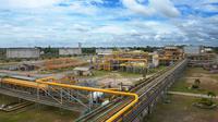 Pertamina Hulu Energi (PHE) sebagai Subholding Upstream Pertamina. (Foto: PHE)