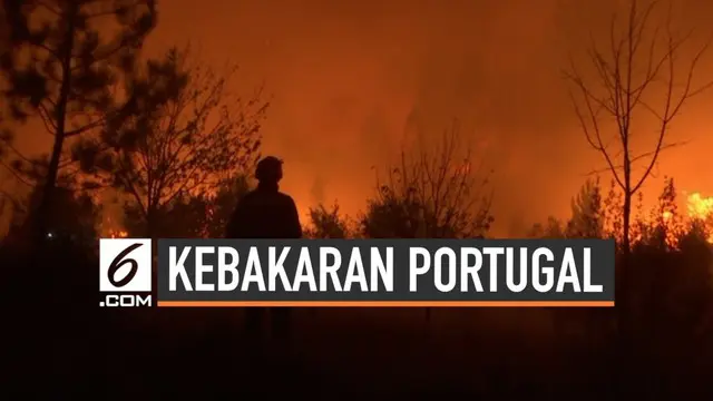 Sebuah kebakaran besar terjadi di Portugal. Untuk memadamkan api, belasan pesawat dan ribuan petugas pemadam dikerahkan.