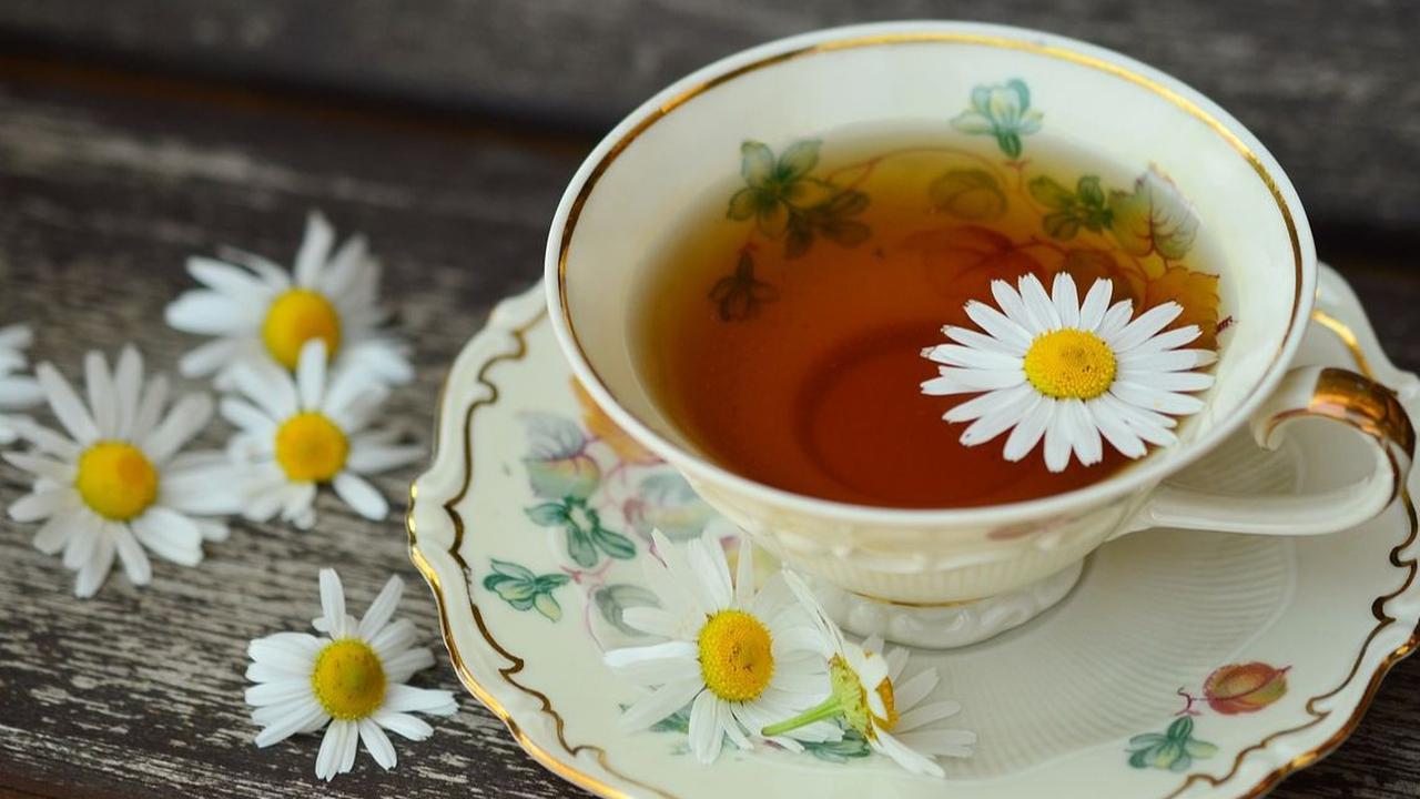 Tradisi Minum Teh