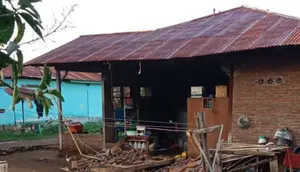 Gempa NTT: Deretan Artis Buka Donasi untuk Korban Bencana