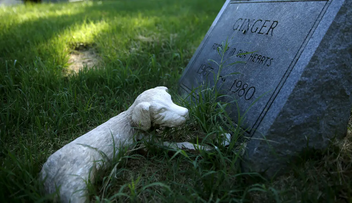 Sebuah nisan anjing untuk "Ginger" terlihat di Memorial Park in Aspen Hill, Maryland, 25 Agustus 2015. Didirikan sejak tahun 1921, lebih dari 50.000 hewan dimakamkan di tempat ini. (REUTERS/Gary Cameron)