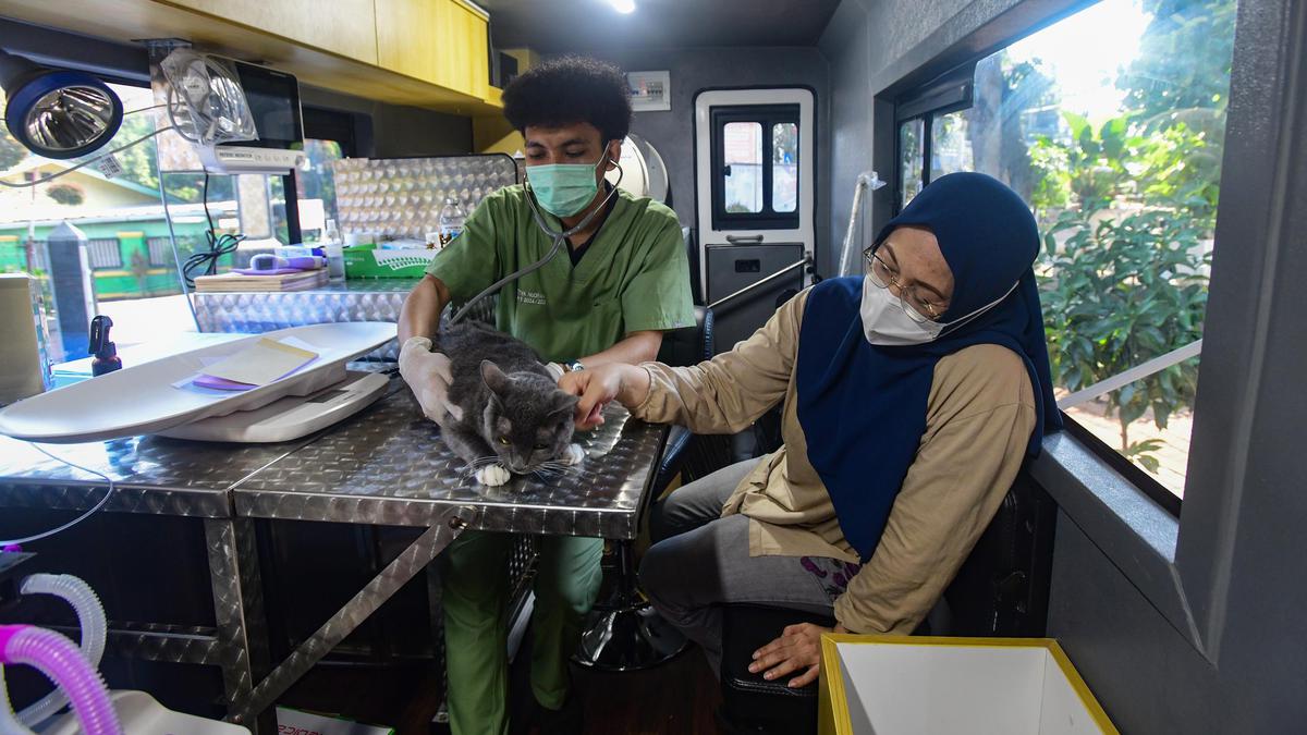 Klinik Hewan Keliling Dekatkan Layanan ke Warga Jakarta