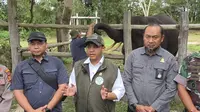 7 Entitas Disegel Kementerian Kehutanan Terkait Banjir Sumatera, 5 Lainnya Masuk Antrean