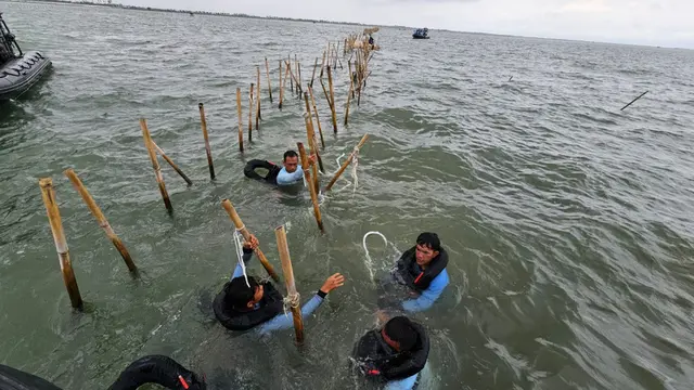 Pagar Laut Tangerang