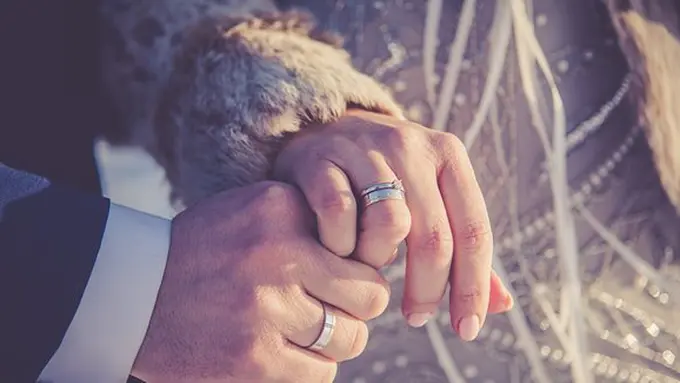 Ilustrasi./Copyright pixabay.com/8577099