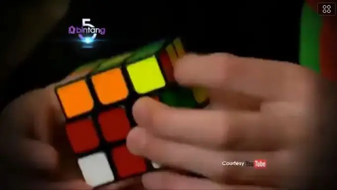 [Bintang] Bintang 5: Hewan Lucu, Manusia Tercepat, Hewan Bertak-tik Licik