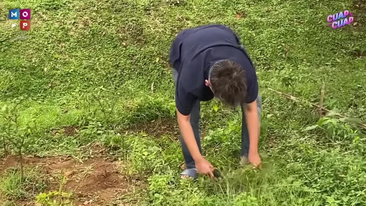 Panen Cabai yang Segar, Ruben Onsu Kini Jajal Berkebun