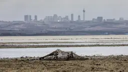 Pemandangan dasar Danau Buyukcekmece di Istanbul, Turki, 21 September 2020. Kota metropolitan terbesar Turki, Istanbul, berusaha mengatasi kekurangan air akibat minimnya curah hujan dan musim panas yang kering. (Xinhua/Osman Orsal)