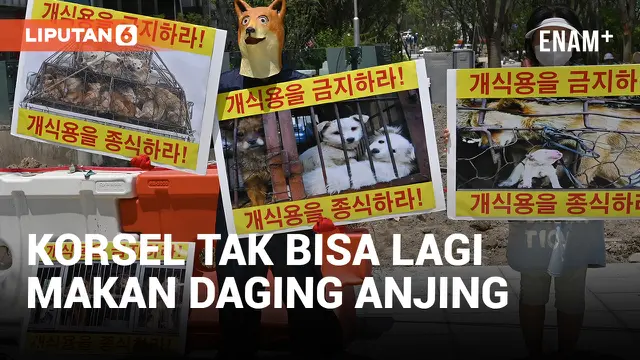 Sah! Korea Selatan Keluarkan Undang-Undang Pelarangan Konsumsi Daging Anjing