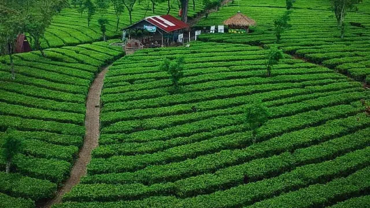 Destinasi Wisata Alam Malang Murah Terbaru 2025, Lengkap dengan Harga Tiketnya