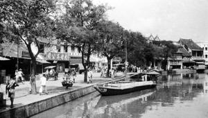 Batavia Lama (Wikipedia)