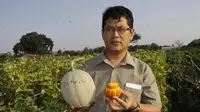 Peneliti UGM Kembangkan Tanaman Inovatif dari Melon Lokal untuk Bahan Kosmetik dan Anti Kanker