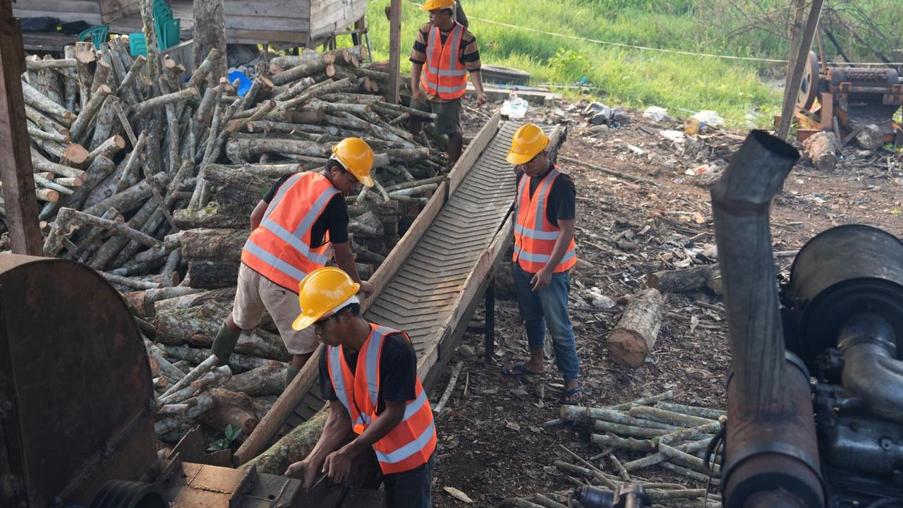Indonesia Siap Jadi Pemimpin Pasar Biomassa Dunia, Punya Potensi 130 Juta Ton per Tahun