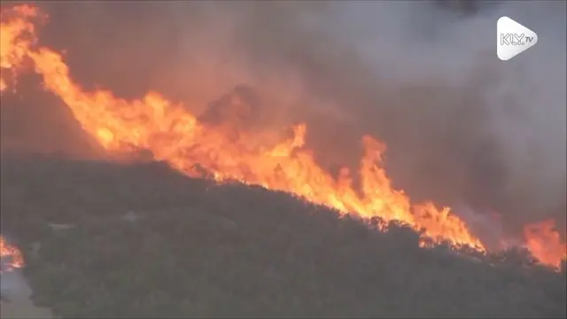 Kebakaran hutan terjadi di Newbury Park, California. Api dengan cepat menghanguskan 40 hektar area hutan.