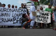 Warga ancam tutup peternakan babi karena bau dan serobot makam