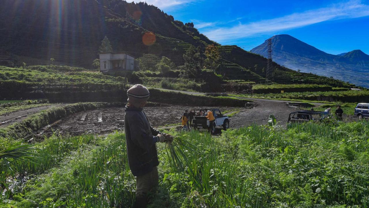 Indahnya Desa Wisata Sembungan yang dijuluku Swiss van Java