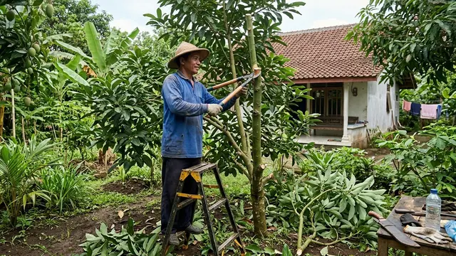 Cara Pemangkasan Alpukat agar Cepat Berbuah (Foto: Gemini AI)