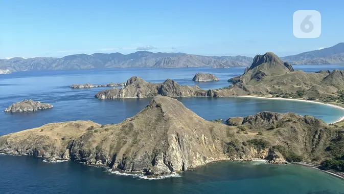 Polemik Vila Pulau Padar: Komodo Terancam? Tiga Berita Utama.